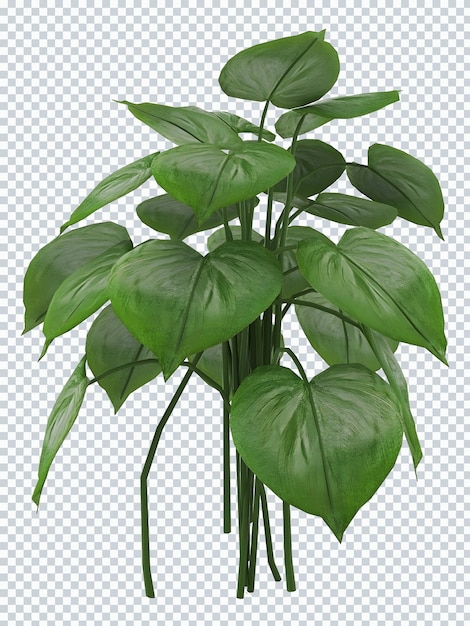 A green plant with a leaf that has the number 1 on it