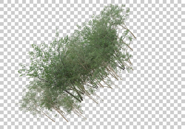 Green plants with transparent background 3d rendering illustration