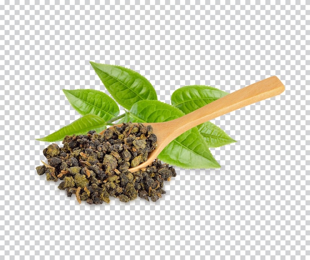 Green tea leaf isolated Premiun PSD