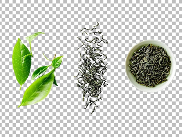 Green tea leaf isolated on transparent background