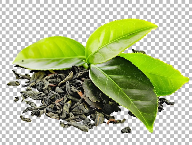 PSD green tea leaf isolated on transparent background