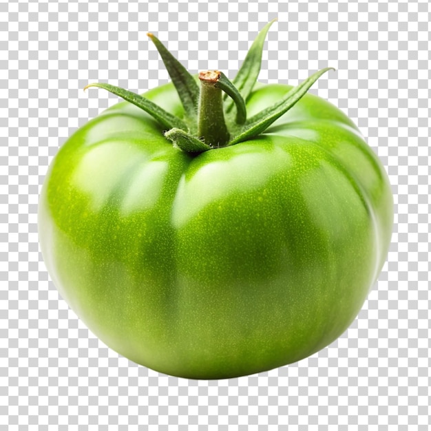 Green tomato Isolated on transparent background