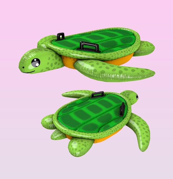 A green turtle and a turtle float