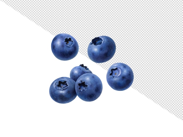 a group of blueberries with a white background with a checkered pattern