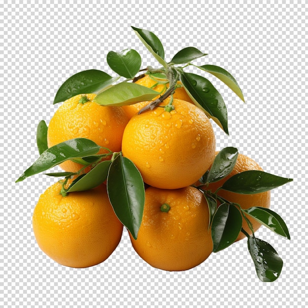 A group of Fresh mandarin orange isolated on white background