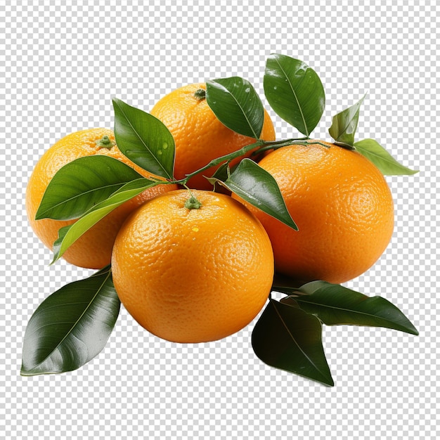 A group of Fresh mandarin orange isolated on white background