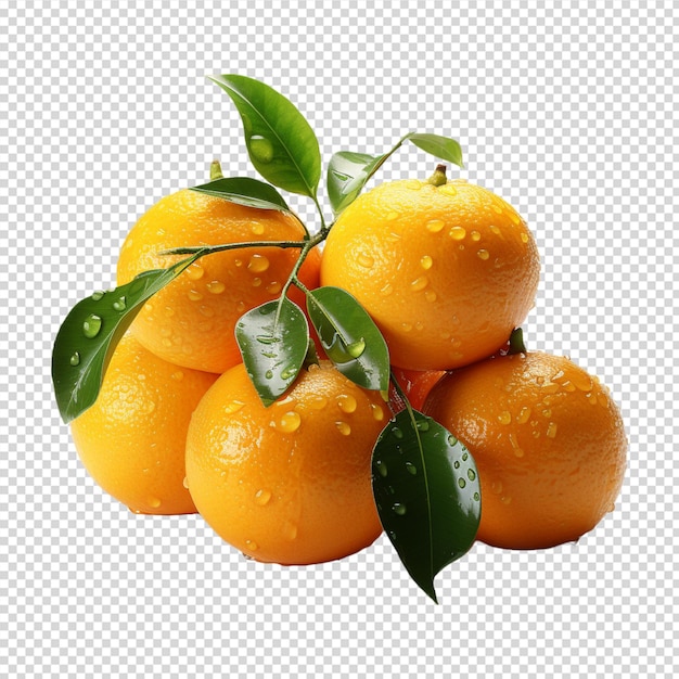 A group of Fresh mandarin orange isolated on white background