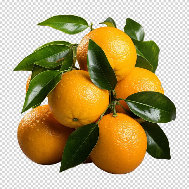 A group of Fresh mandarin orange isolated on white background