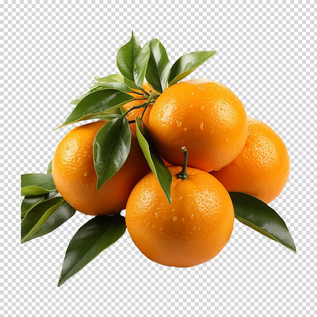 A group of Fresh mandarin orange isolated on white background