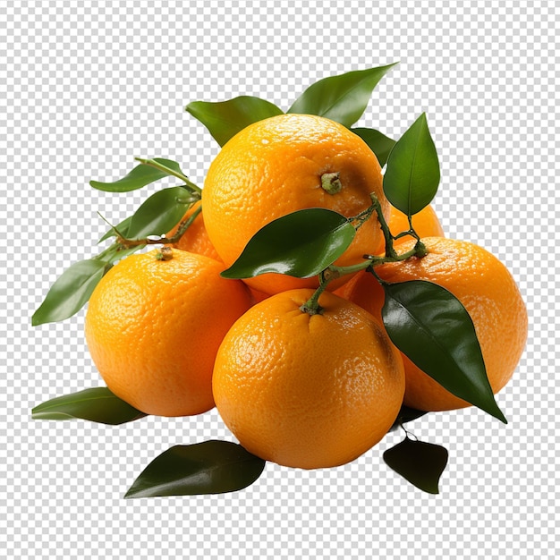 A group of Fresh mandarin orange isolated on white background