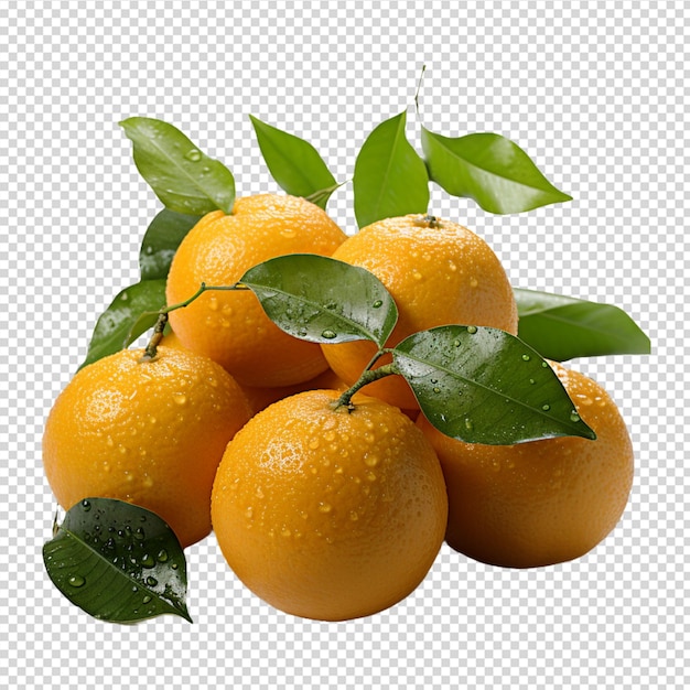 A group of Fresh mandarin orange isolated on white background