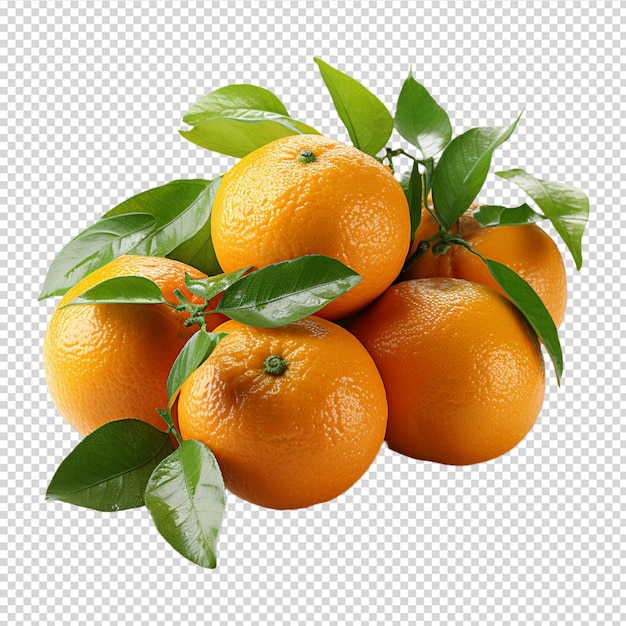 A group of Fresh mandarin orange isolated on white background