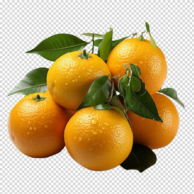 A group of Fresh mandarin orange isolated on white background