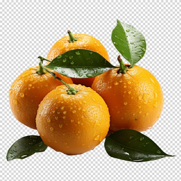 A group of Fresh mandarin orange isolated on white background