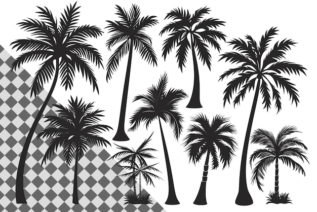 PSD a group of palm trees with a white background with a black and white background