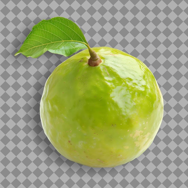 Guava Fruit With Round Shape and Green Yellow Color Sweet an Isolated Fruit on Clean Background