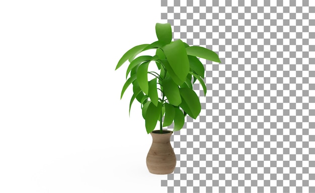 Guiana Chestnut plant without shadow 3d render