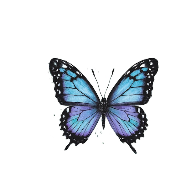 PSD half dissipated butterfly sublimation clipart