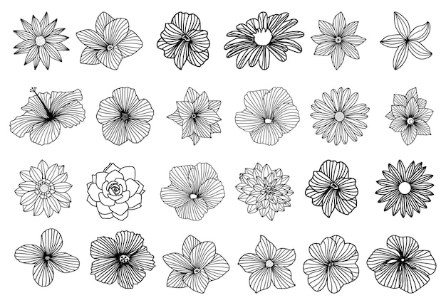 PSD hand drawn collection of flowers set natural botanical