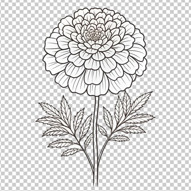 PSD hand drawn flatdesign simple flower outline on transparent background