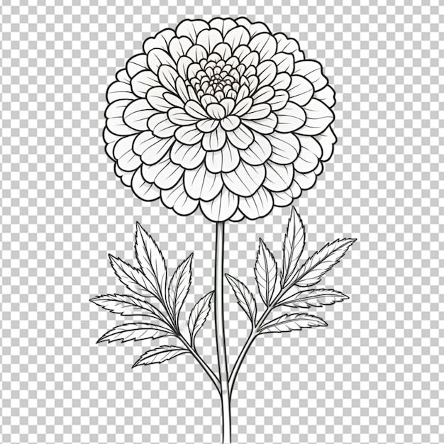 PSD hand drawn flatdesign simple flower outline on transparent background