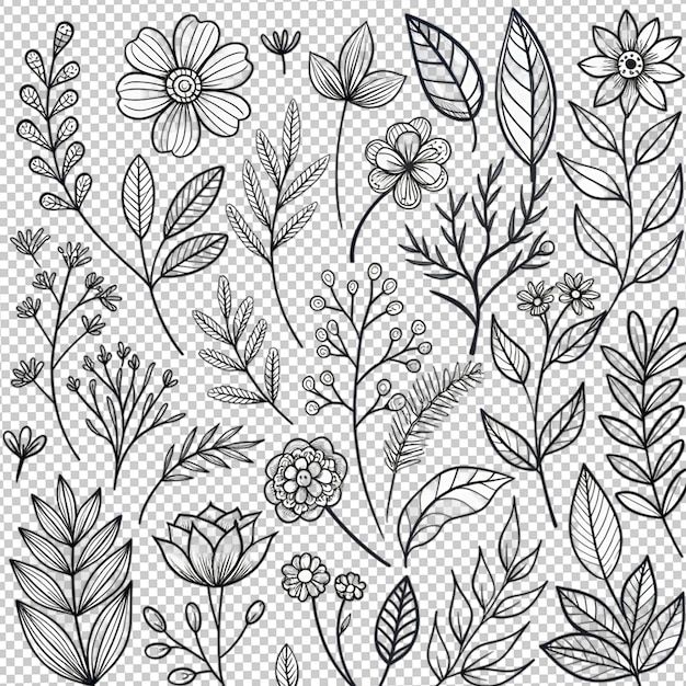 PSD hand drawn floral illustration