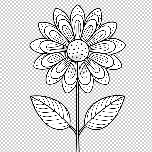 Hand drawn floral illustration