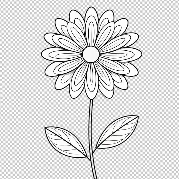 Hand drawn floral illustration