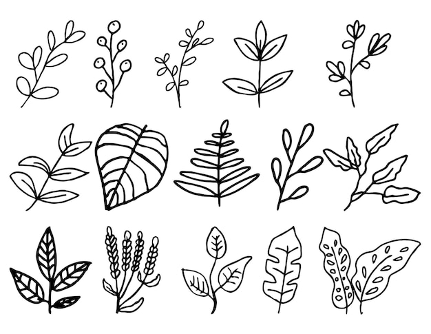 PSD hand drawn outline leaves collection psd template editable colors