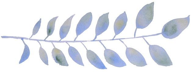 Hand drawn watercolour leaves