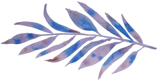 PSD hand drawn watercolour leaves