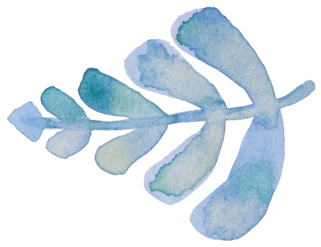 Hand drawn watercolour leaves