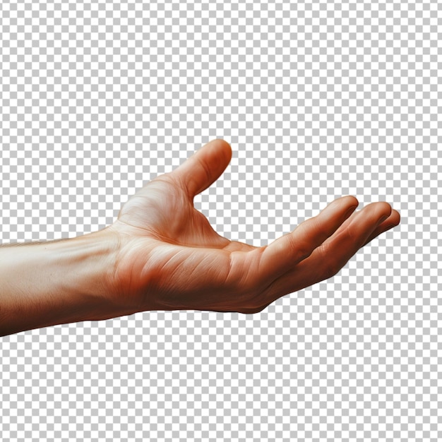 PSD hand gestures on a transparent background