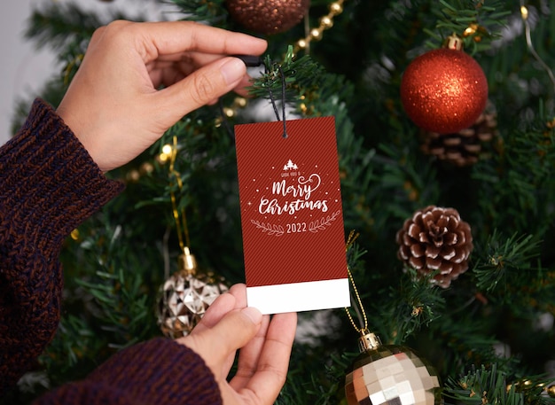 Hand holding christmas greeting tags 2022 on christmas tree back