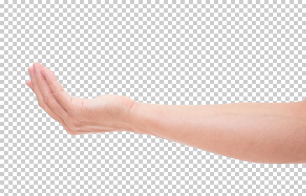 Hand isolated