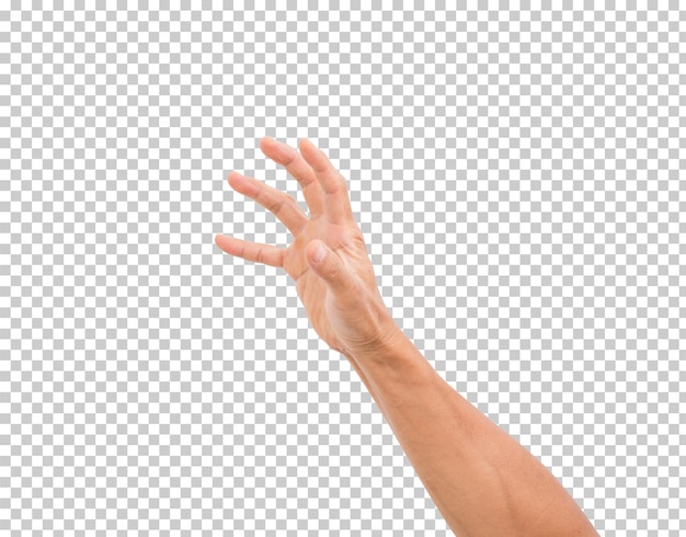 Hand isolated