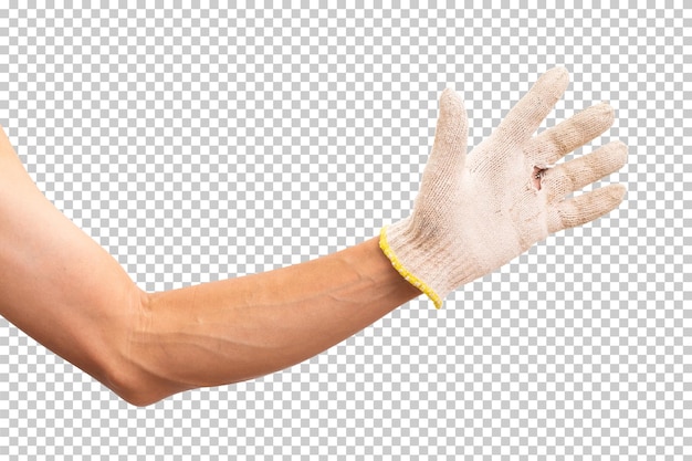 Hand wearing cotton glove isolated