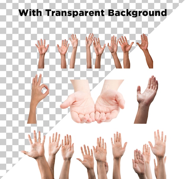 PSD hands multiple action gesture photo png psd transparent background