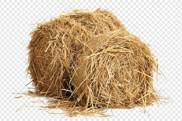 hay isolated on transparent background