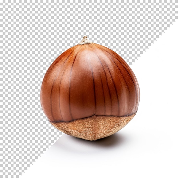 Hazelnut isolated on transparent background