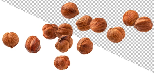 Hazelnuts isolated on white background with clipping path