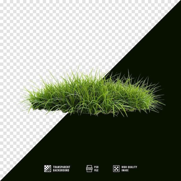 HD quality grass images with transparent background