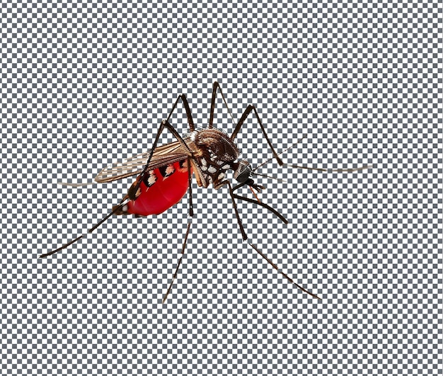 Health Challenges Malaria HIVAIDS isolated on transparent background