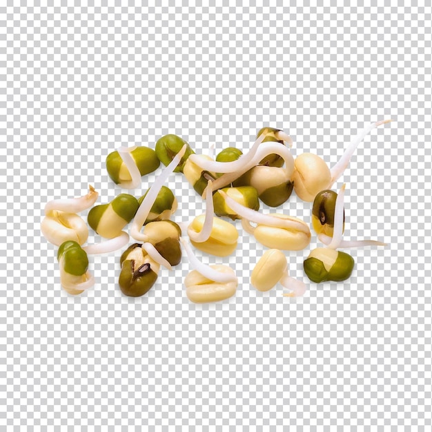 Healthy fresh bean sprouts isolated Premium PSD