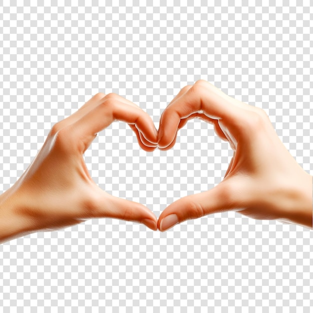 PSD heart shape made by hands on a transparent background