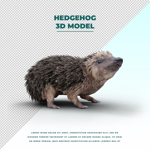 Hedgehog