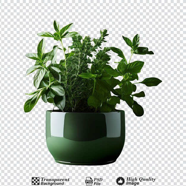 PSD herbs in double pot sagaform green isolated on transparent backgroundpng