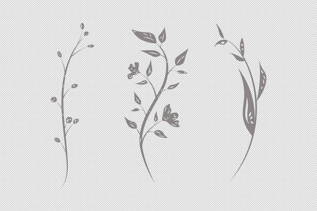 PSD herbs plants and flowers clipart in monochrome