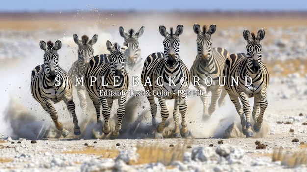 A herd of zebras running through the desert