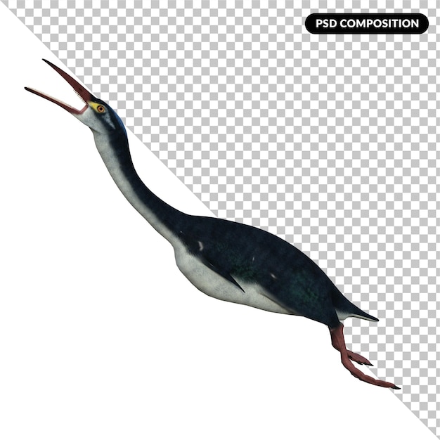 Hesperornis dinosaur isolated 3d render